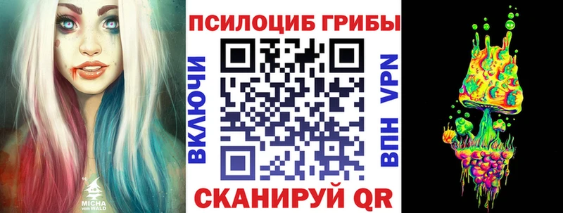 закладки  Одинцово  Псилоцибиновые грибы Cubensis 